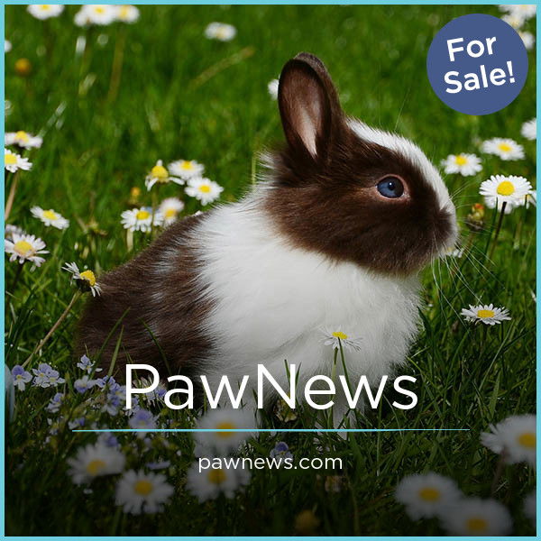 PawNews.com