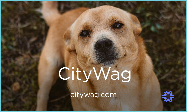 CityWag.com image 2