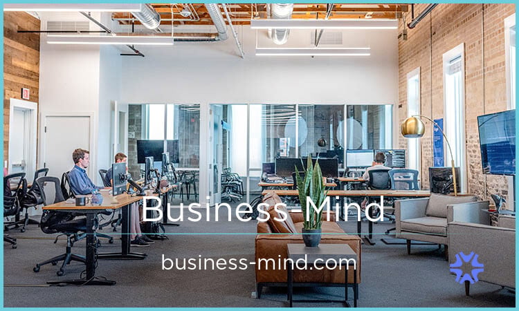 Business-Mind.com image 2