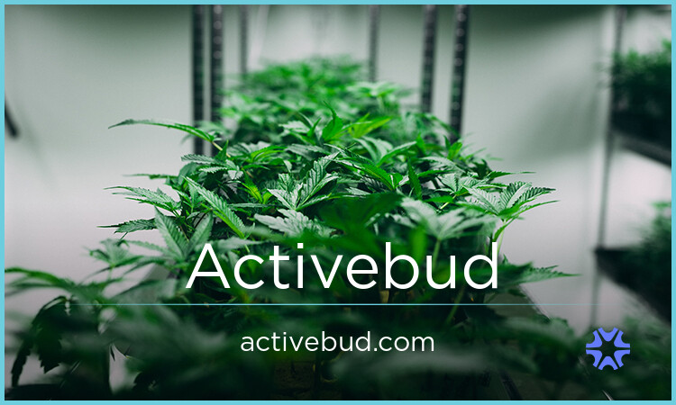 activebud.com - buy Great premium names