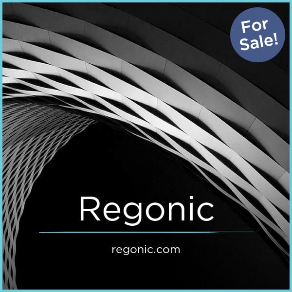 Regonic.com image 2