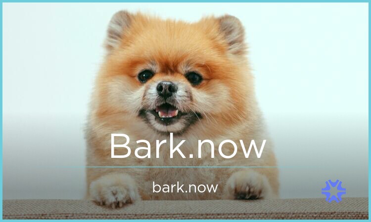 Bark.now - buy Creative premium names