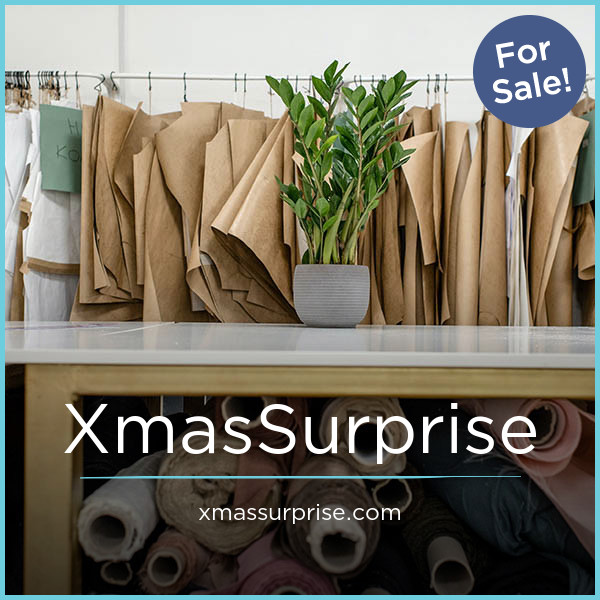 XmasSurprise.com - buy Cool premium names