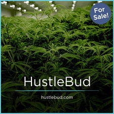 HustleBud.com - Creative premium domains for sale