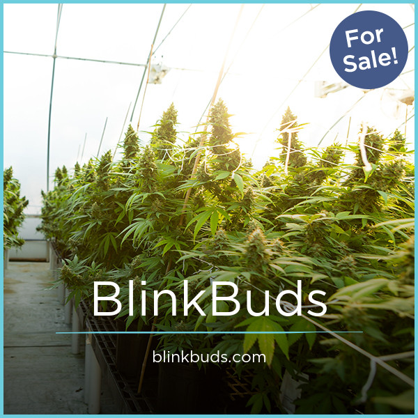 BlinkBuds.com - Cool premium domain names for sale