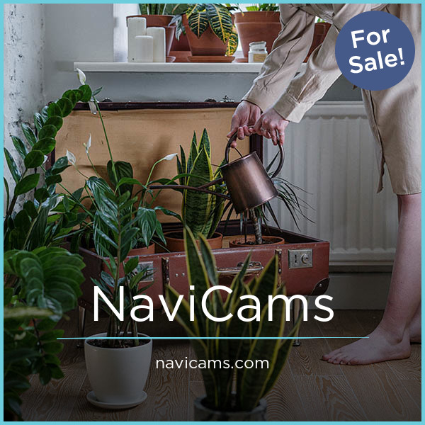 NaviCams.com - New premium domains for sale