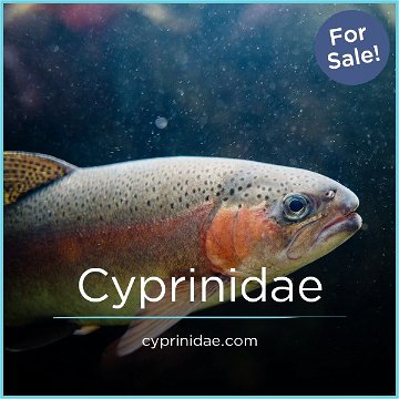 Cyprinidae.com