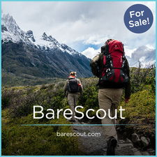 BareScout.com - Best premium domains for sale