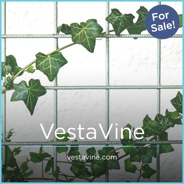 VestaVine.com - buy Good premium names