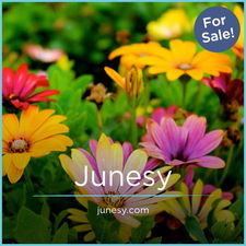 Junesy.com - buy Great premium names
