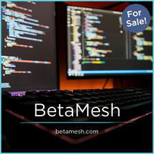BetaMesh.com - Good premium domain names