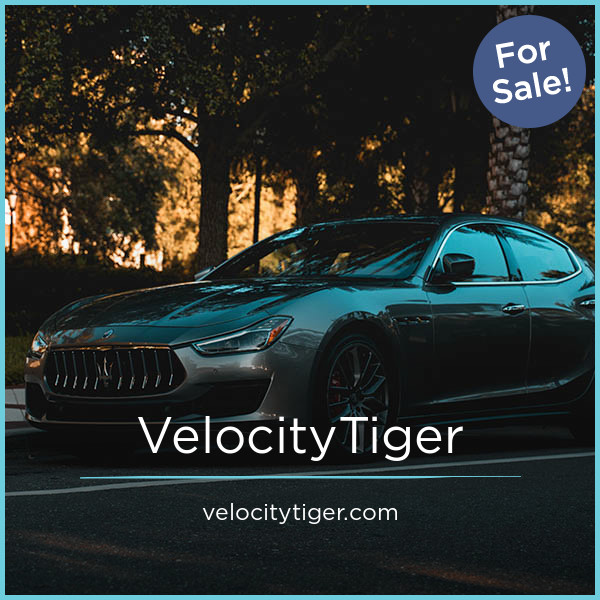VelocityTiger.com image 2
