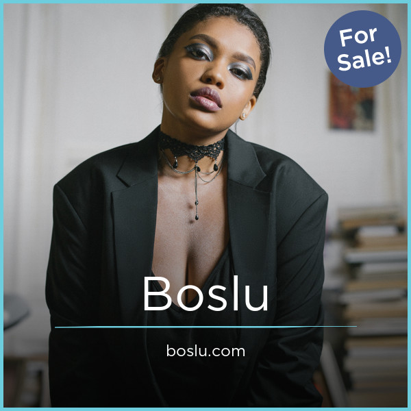Boslu.com image 2