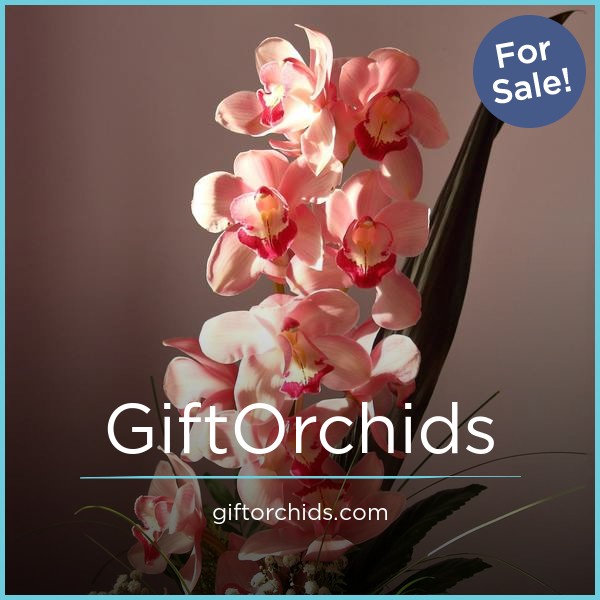 GiftOrchids.com image 2