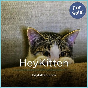 HeyKitten.com