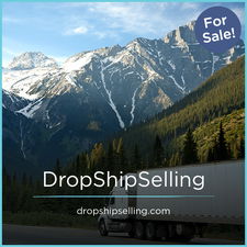 DropShipSelling.com - Creative brandable domain for sale