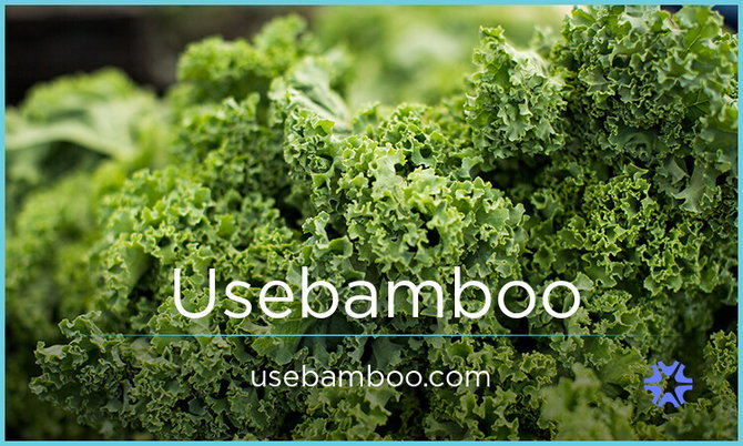 Usebamboo.com — 2