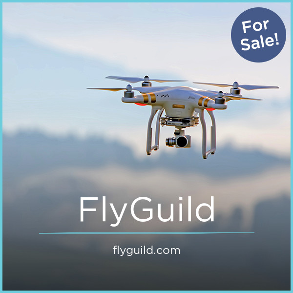 FlyGuild.com - buy Good premium domains