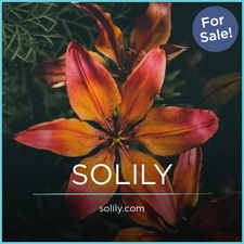 Solily.com - Cool premium domain names for sale