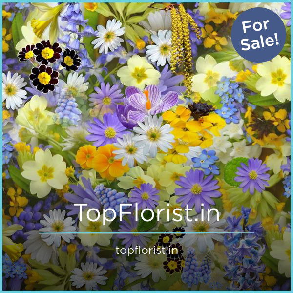 TopFlorist.in
