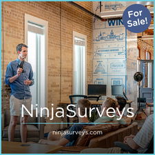 NinjaSurveys.com - Catchy premium domain marketplace