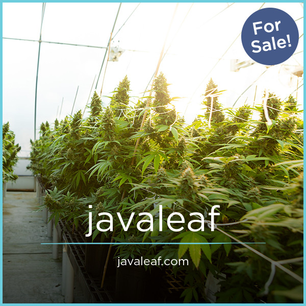 JavaLeaf.com - Great premium domain names for sale