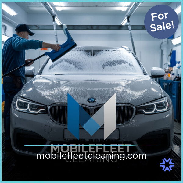 MobileFleetCleaning.com