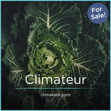 Climateur.com - New domains for sale