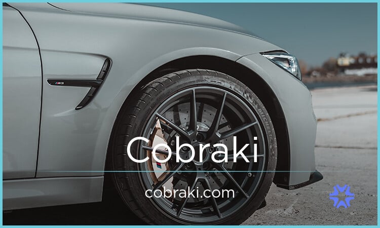 Cobraki.com image 2