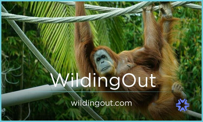 WildingOut.com