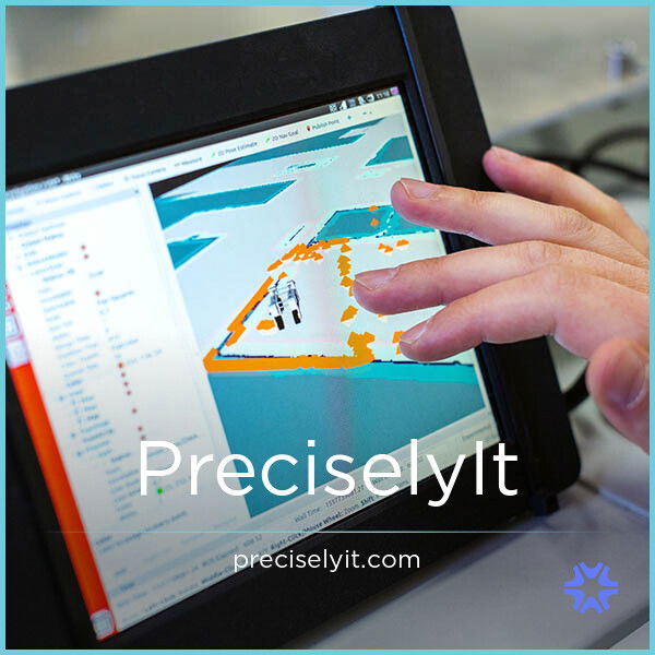 PreciselyIT.com