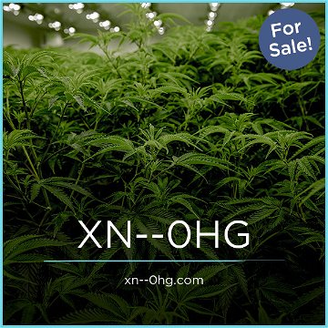 XN--0HG.com