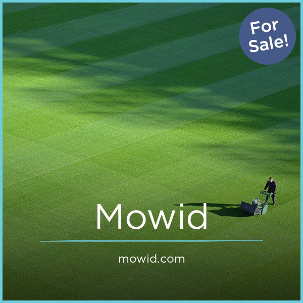 Mowid.com