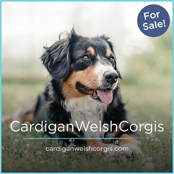 CardiganWelshCorgis.com