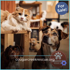 CougarCreekRescue.org - Creative brandable domain for sale