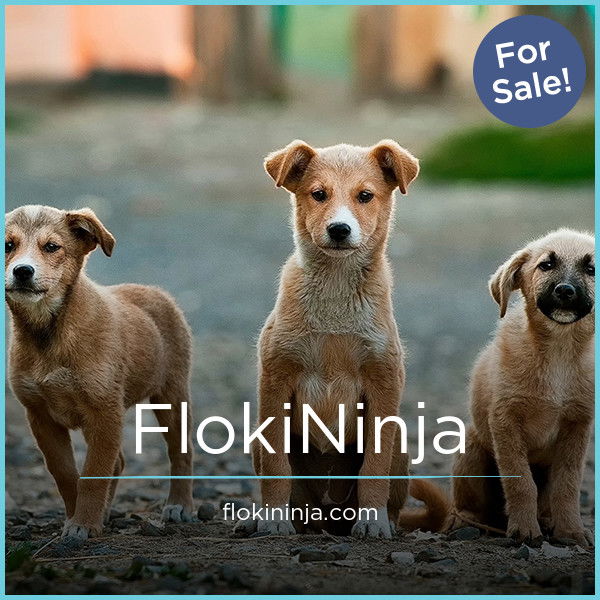 FlokiNinja.com