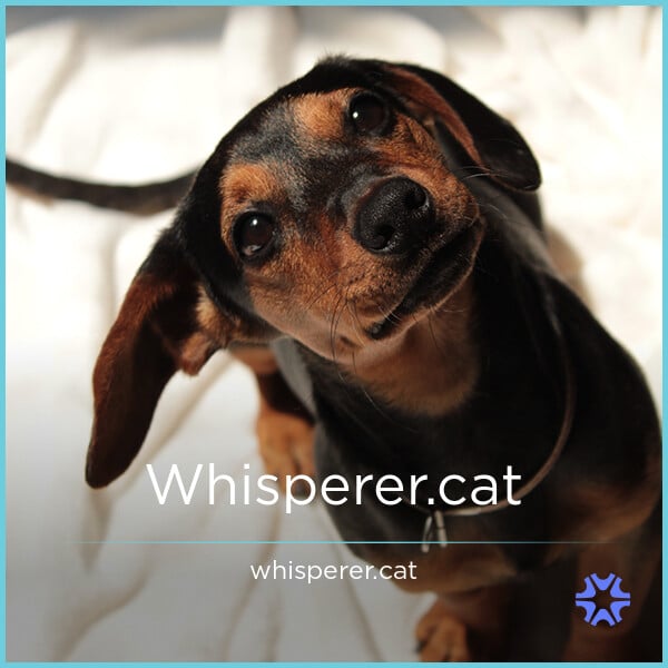 Whisperer.cat image 2