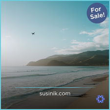 Susinik.com - Creative brandable domain for sale