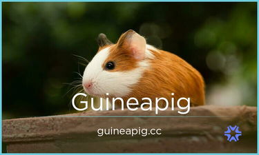 Guineapig.cc is for sale