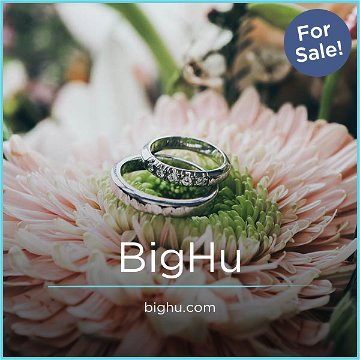 BigHu.com