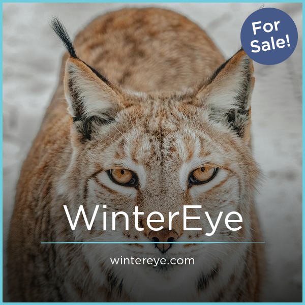WinterEye.com - Cool premium domain names for sale