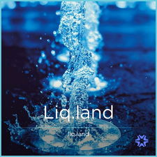 Liq.land - Creative brandable domain for sale