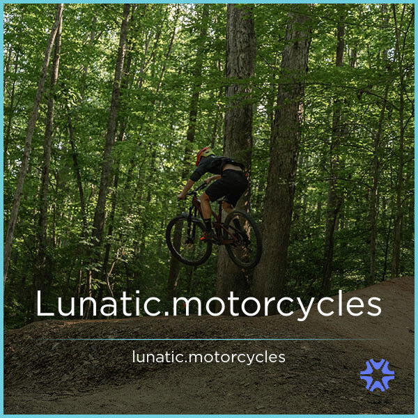 Lunatic.motorcycles — 2