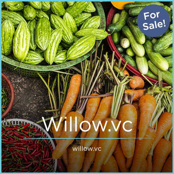 Willow.vc - Catchy premium domain names