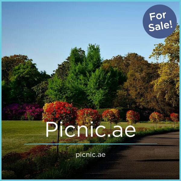 picnic.ae — 2