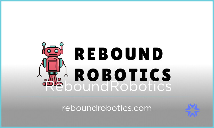 ReboundRobotics.com image 2