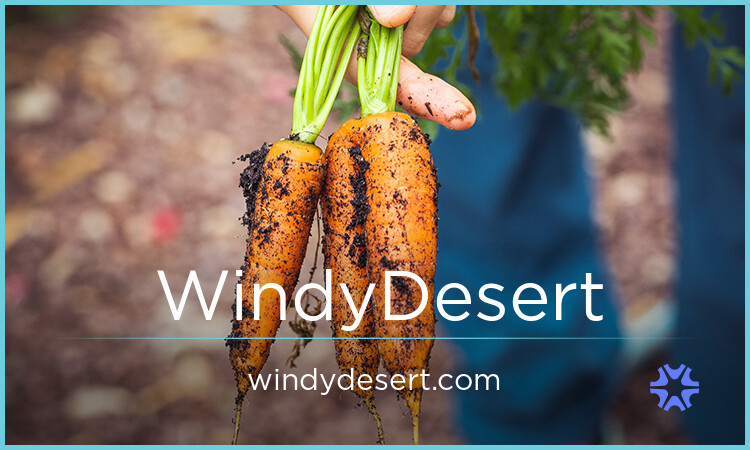 WindyDesert.com - buy Creative premium domains