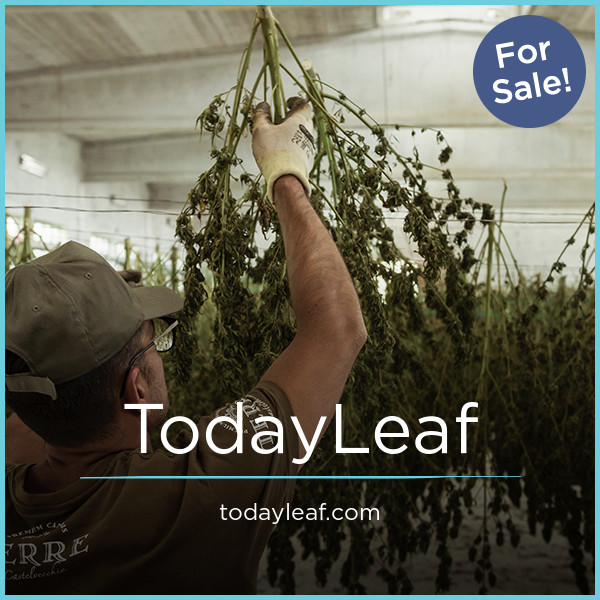 TodayLeaf.com - New premium names
