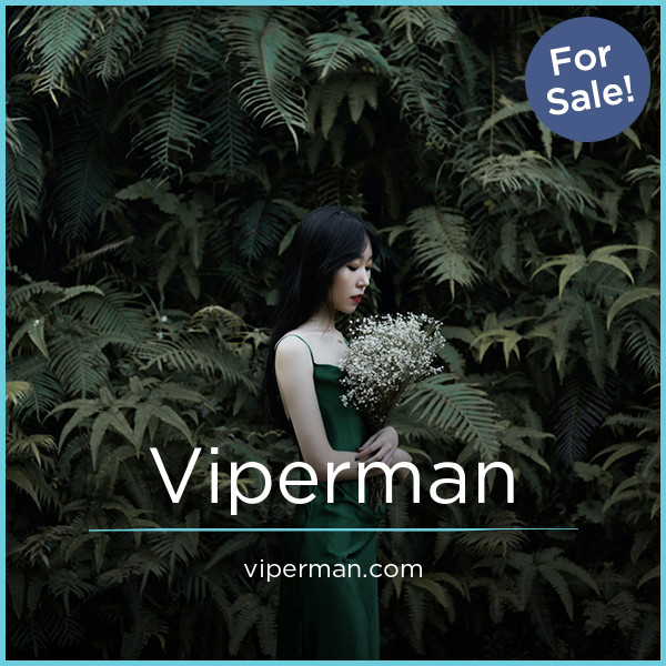 Viperman.com image 2