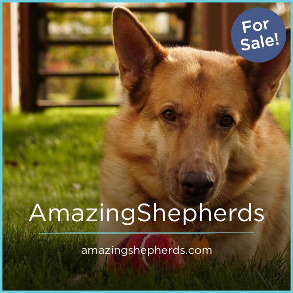 AmazingShepherds.com